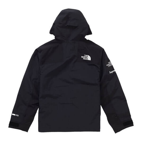 シュプリーム/ザ ノース フェイス アーク ロゴ マウンテン パーカ The North Face X シュプリームArc Logo Mountain Parka SS19 WEEK 5