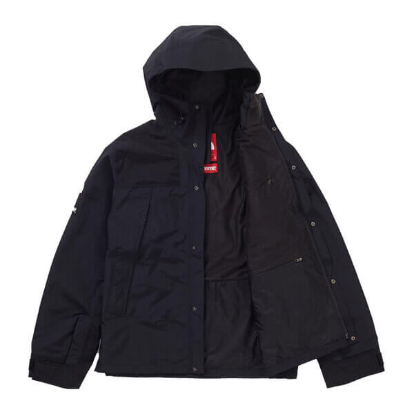 シュプリーム/ザ ノース フェイス アーク ロゴ マウンテン パーカ The North Face X シュプリームArc Logo Mountain Parka SS19 WEEK 5