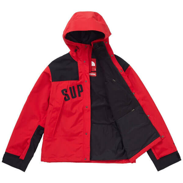 シュプリーム/ザ ノース フェイス アーク ロゴ マウンテン パーカ The North Face X シュプリームArc Logo Mountain Parka SS19 WEEK 5