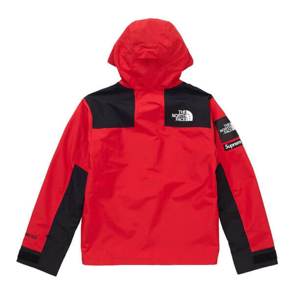 シュプリーム/ザ ノース フェイス アーク ロゴ マウンテン パーカ The North Face X シュプリームArc Logo Mountain Parka SS19 WEEK 5