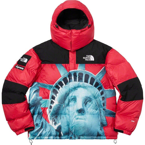 シュプリーム/The North Face Statue Of Liberty Mountain Jacket