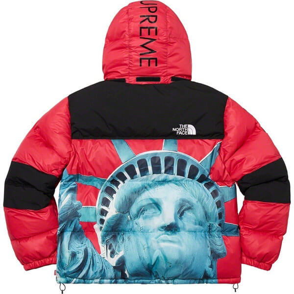 シュプリーム/The North Face Statue Of Liberty Mountain Jacket