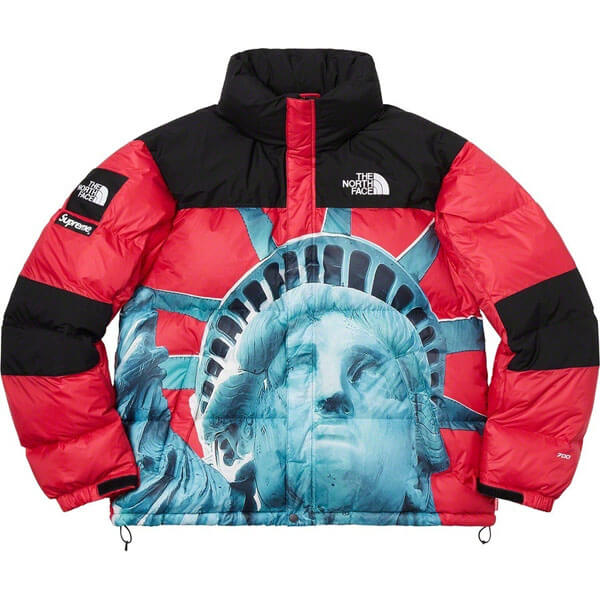 シュプリーム/The North Face Statue Of Liberty Mountain Jacket