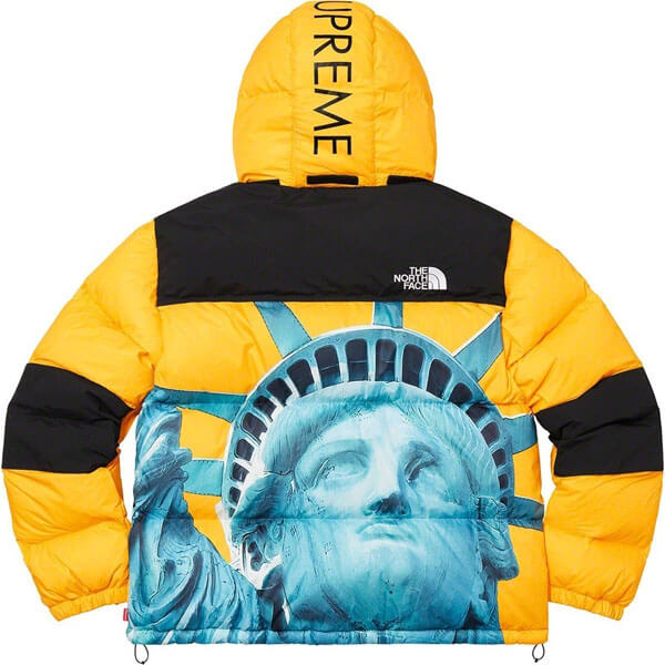 シュプリーム/The North Face Statue Of Liberty Mountain Jacket