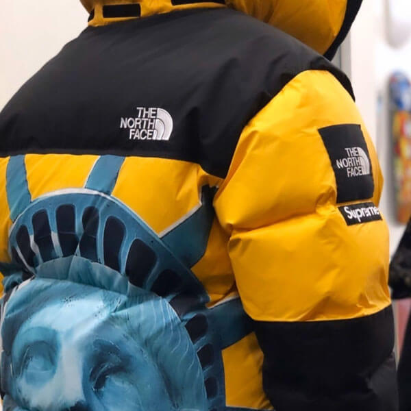 シュプリーム/The North Face Statue Of Liberty Mountain Jacket