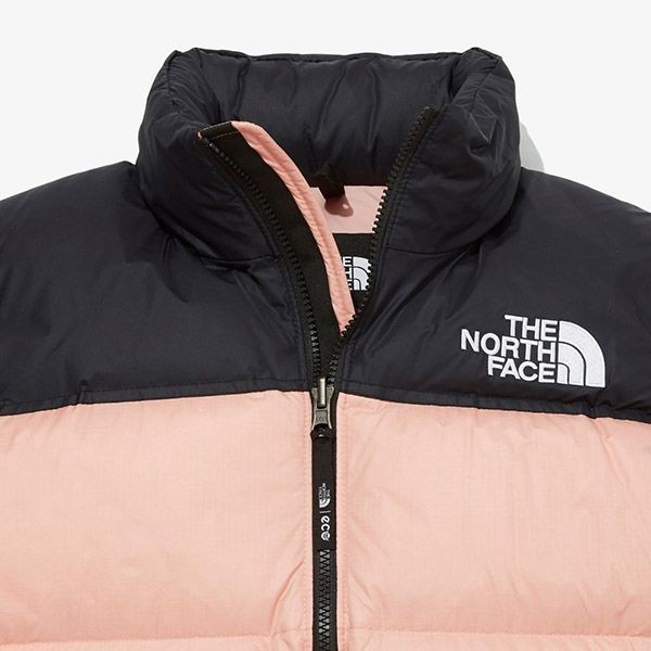 ザノースフェイス 1996コピー ECO NUPTSE DOWN ダウンジャケット NJ1DM83A