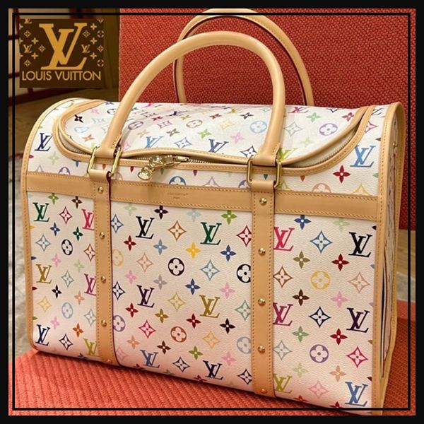 ルイヴィトン 村上隆 LV × TM サック・シヤン NM M13741