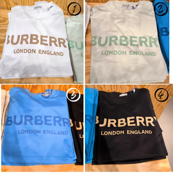 バーバリー ELLISON PRT コットンTシャツ コピー 8104234